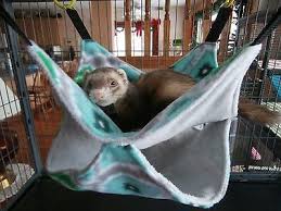Ferret Hammock Bunk Bed Style For