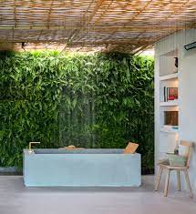 Best Bathroom Plants To Decorate Your