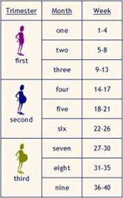 pregnancy chart maatriyoga