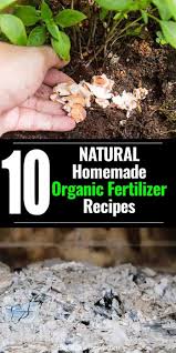 making organic fertilizer 10 homemade