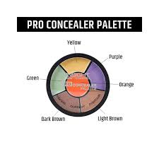 insight cosmetics pro concealer