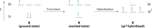 10 6 Orbital Hybridization Chemistry Libretexts