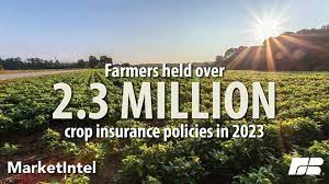 https://www.oklahomafarmreport.com/okfr/2024/05/02/crop-insurance-101-the-basics/ gambar png
