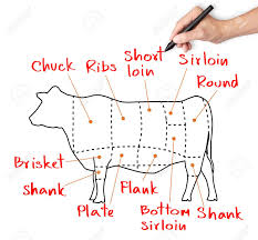 Hand Drawing Cow And Cut Of Beef Or Beef Chart