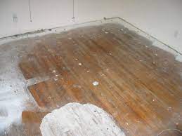 plywood under carpet theplywood com