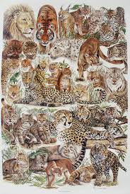 Wild Cat Posters Wild Cat Charts Wild Cat Family