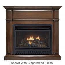 Gas Fireplace Gas Ventless Fireplaces