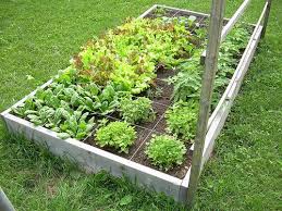 Square Foot Gardening Is For Every