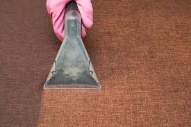 kirkland upholstery cleaning service