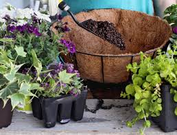 hanging baskets are a fun winter diy