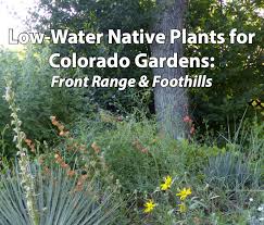 Colorado Native Plant Society