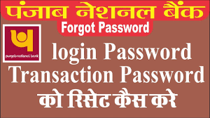We gather our deposits locally and reinvest them back into the community. Hindi How To Reset Online Login Password Transaction In Password Punjab National Bank Youtube