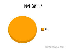 12 Funny Pie Charts To Give You A Small Slice Of Humor