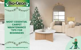 bio clean carpet cleaning