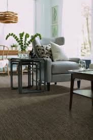could tigressa carpet be perfect for