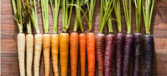 Is Purple Carrot good for you?