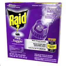 raid 15 oz flea fogger at lowes com