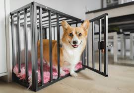 diy pet crate and cage cleaner