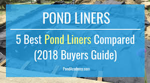 5 Best Pond Liners Compared 2019 Buyers Guide