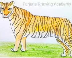 Best drawing for kids drawing lessons for kids easy drawings for kids art drawings sketches simple my drawings drawing pictures for kids scenery drawing for kids easy cartoon drawings crayon. How To Draw A Tiger For Kids Archives How To Draw Step By Step