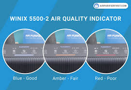 Winix 5500 2 Air Purifier Real Review