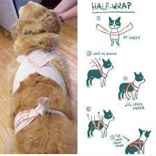 LOOK: How To Make A DIY Thundershirt To Calm Your Pets During The New Year  - When In Manila
