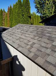 shed roof replacement with asphalt
