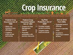 Crop Insurance 101 gambar png
