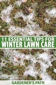 11 Winter Lawn Care Essentials