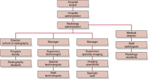 Organization And Operation Of The Radiology Department