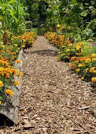 Garden Path Ideas Airtasker Au