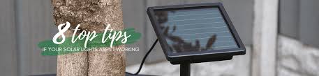 8 Things To Do If Your Solar Powered Lights Aren T Working