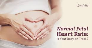 Normal Fetal Heart Rate Is Your Baby On Track Mama Natural
