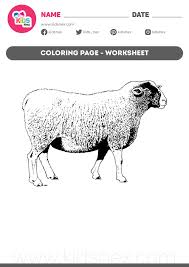 This free animal coloring page can be used two ways. Sheep Coloring Page Free Printable Pdf Kids Nex
