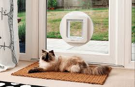 Cat Flap Fitting Services Cat Flap