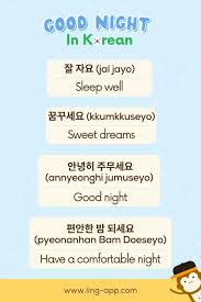 say good night in korean