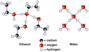 ethanol vaporizes to a gas in the lungs