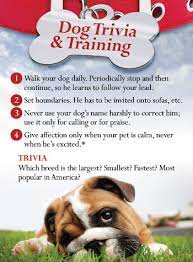 Man's best friend has a funny way of communicating sometimes, but almost everything your dog does has meaning. Dog Trivia Training 100pk Living Waters Down Under