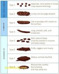 79 Abiding Poop Chart What Does It Mean