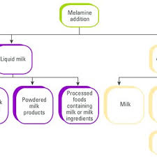 Flow Chart Of The Melamine Contamination Chain From