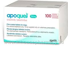 Apoquel Oclacitinib 3 6mg 100 Tablets Pack