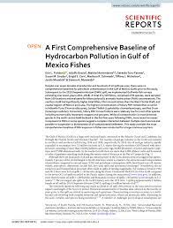 hydrocarbon pollution in gulf