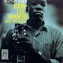 The Blues Effect: John Lee Hooker