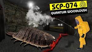 SCP-074 | Quantum Woodlouse (SCP Orientation) - YouTube