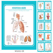 Buy Hospital Operating Room Wall Chart Poster Licensing