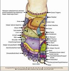 Hand And Foot Reflexology Meridians What Are They And How