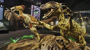 Maybe you would like to learn more about one of these? Jurassic Park Was Wrong Raptors Hunted Alone And Not In Packs Says Study Science Tech News Sky News