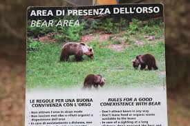 Tar di Trento sospende abbattimento dell'orsa Jj4