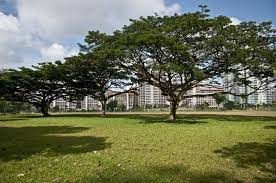 bishan ang mo kio park tickikids 新加坡