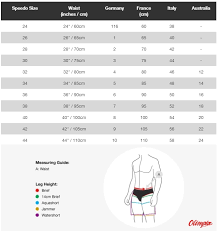Speedo Size Chart Sports Online Shop Olimpiasport Pl